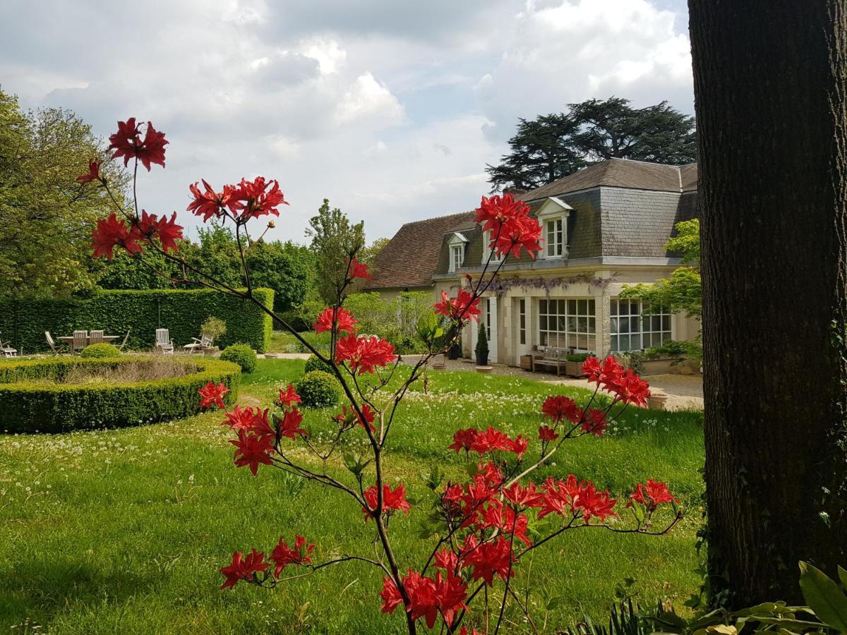 La Taille De Biou Huisseau-sur-Cosson Exterior foto