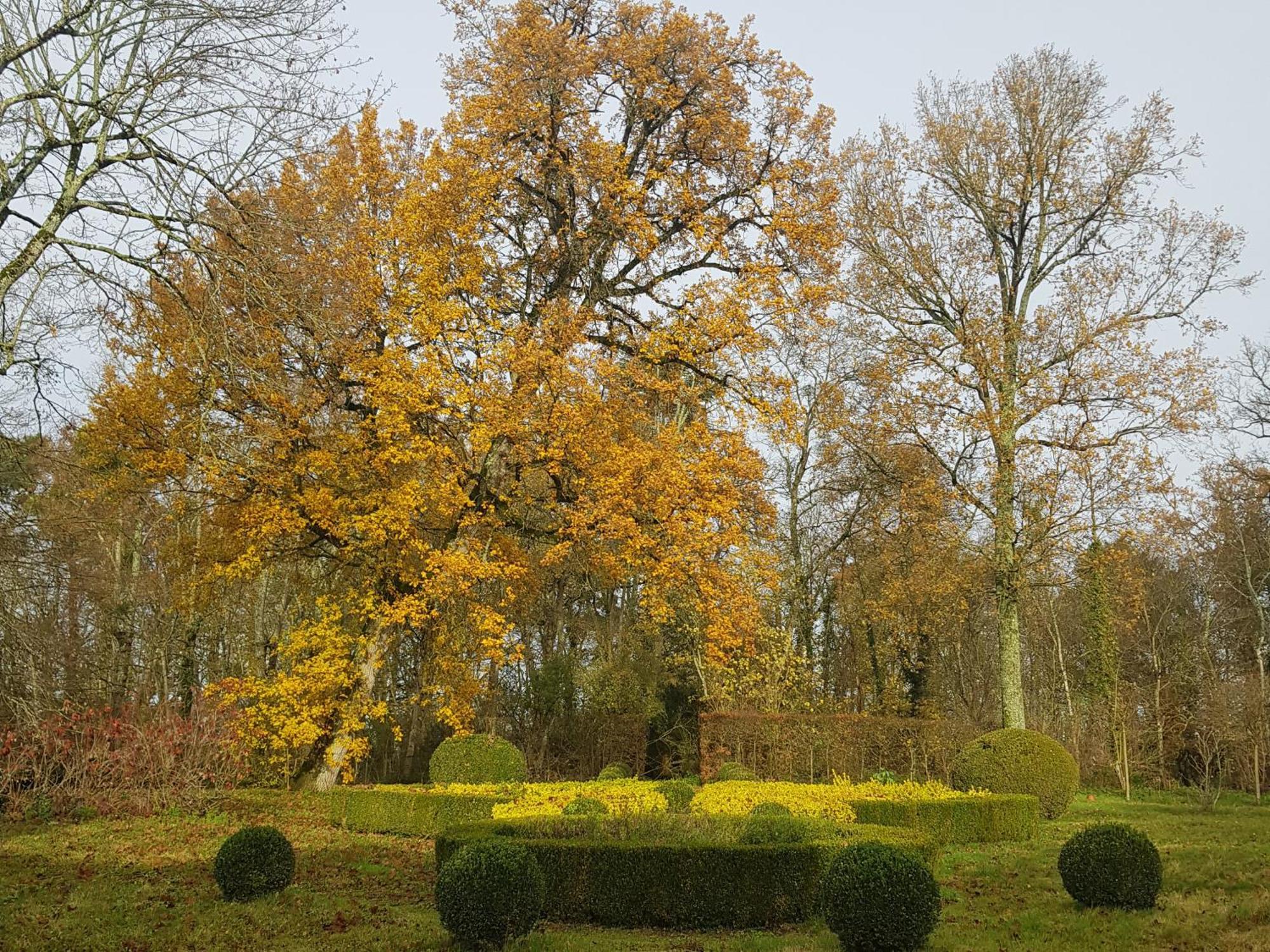 La Taille De Biou Huisseau-sur-Cosson Exterior foto